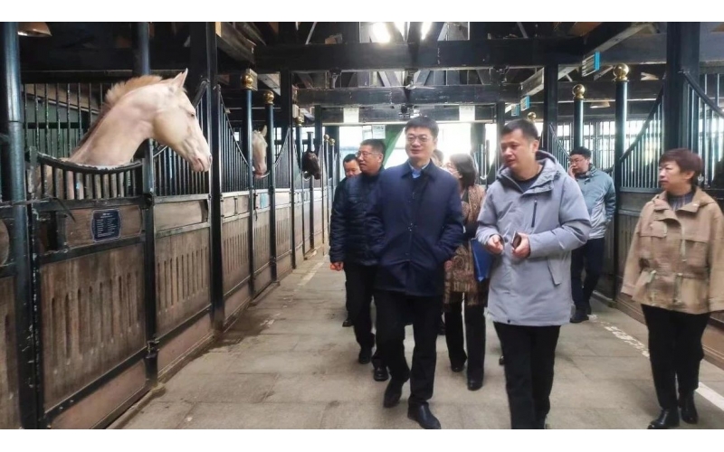高雷副廳長在野馬集團調(diào)研時表示，要通過科技助力，精準解決“卡脖子”問題